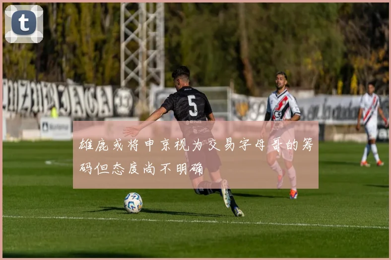 雄鹿或将申京视为交易字母哥的筹码但态度尚不明确