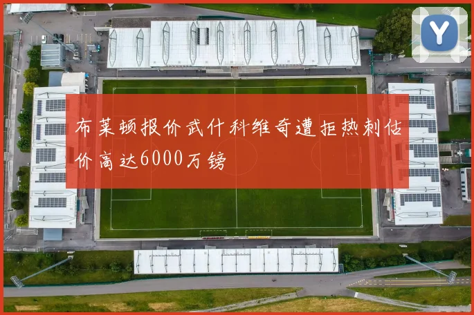 布莱顿报价武什科维奇遭拒热刺估价高达6000万镑
